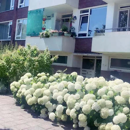 דירה Keycity Near Amsterdam & The Hague ליידן